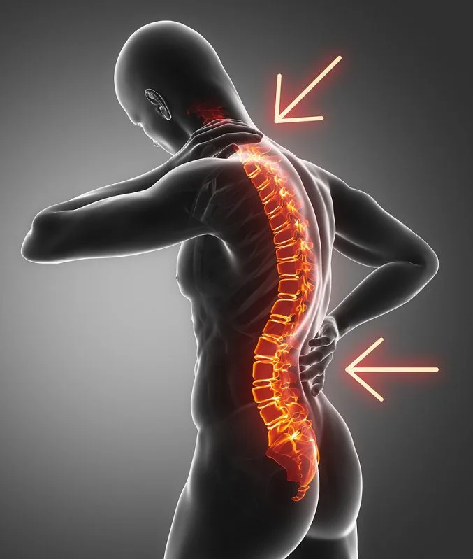 Lower Back Pain & Spine Health